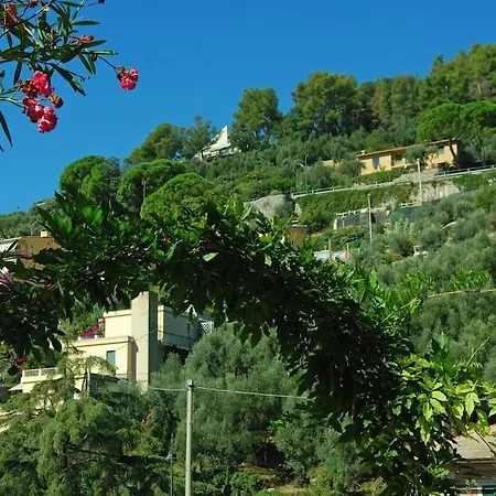 Bilocale Grazioso Montefiorito Apartment Recco Exterior photo