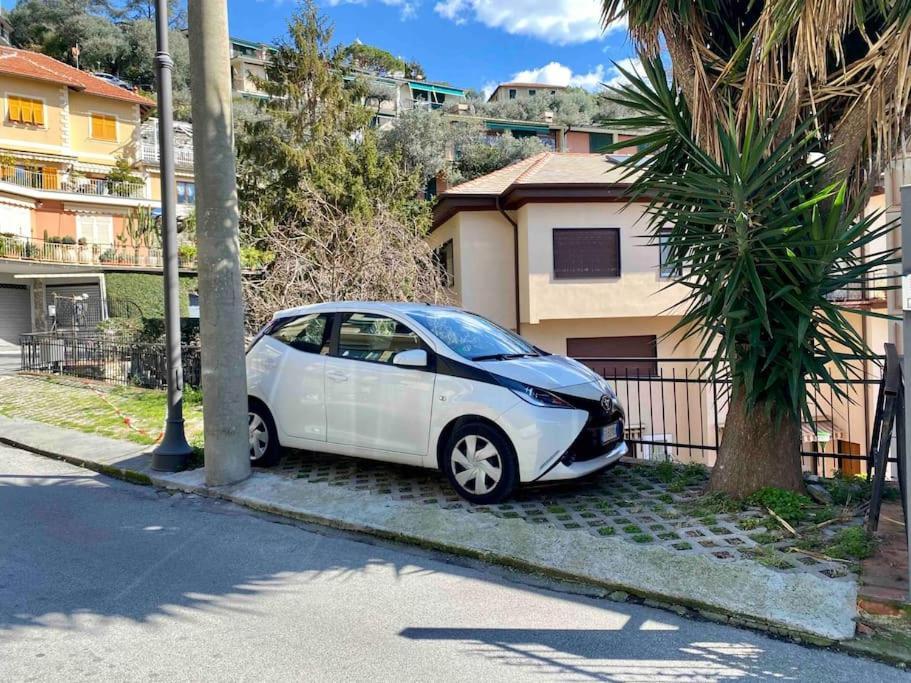 Bilocale Grazioso Montefiorito *