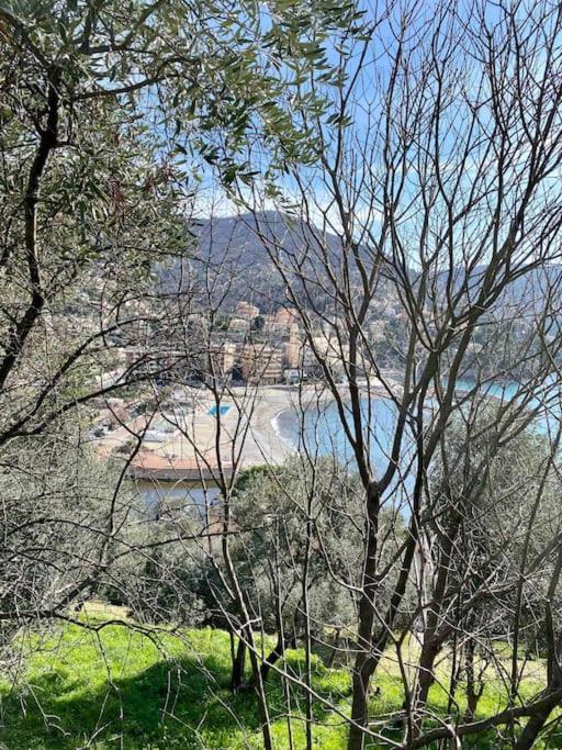 Apartment Bilocale Grazioso Montefiorito Recco