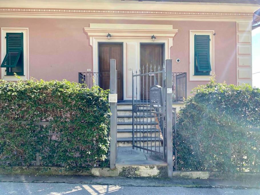 Apartment Bilocale Grazioso Montefiorito
