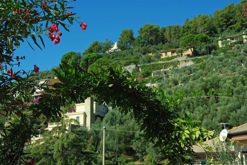 Bilocale Grazioso Montefiorito Apartment Recco